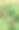 在一个自然旅游公园里，一只蜜蜂正在从盛开的金莲花蜜中收集花蜜。图片下载