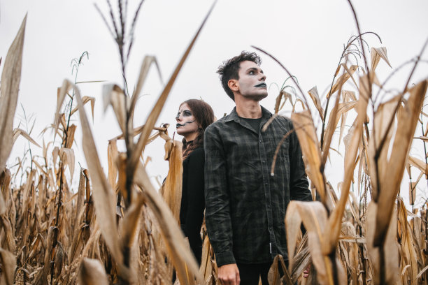 一对年轻夫妇装扮成僵尸在玉米地过万圣节图片下载