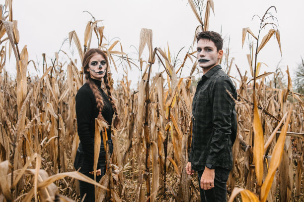 一对年轻夫妇装扮成僵尸在玉米地过万圣节图片下载