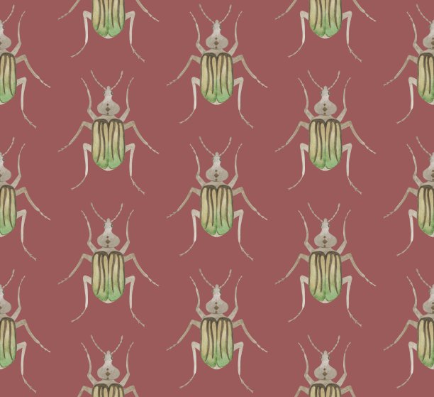 粉色无缝图案与水彩甲虫图片下载