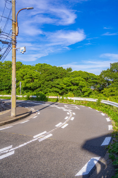 阳光之路图片下载