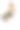 工作室拍摄的漂亮的年轻女孩长卷头发和自然的化妆，穿着露脐上衣和休闲裤子摆姿势在白色背景。图片下载