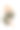 工作室拍摄的漂亮的年轻女孩长卷头发和自然的化妆，穿着露脐上衣和休闲裤子摆姿势在白色背景。图片下载