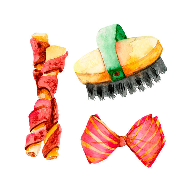 狗附件5图片下载