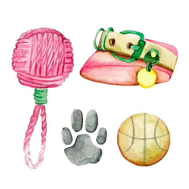 狗附件3图片下载