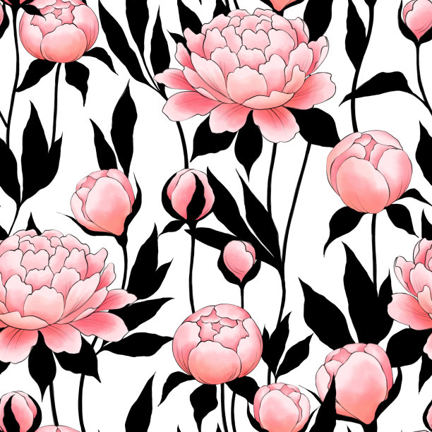 牡丹花无缝隙，叶黑色。花的背景。图片下载