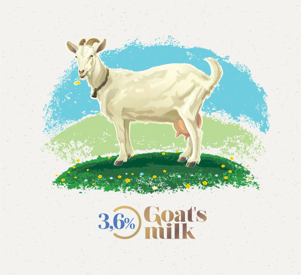 山羊在草地上吃草，站在山顶上，乡村景色，矢量插画。图片下载