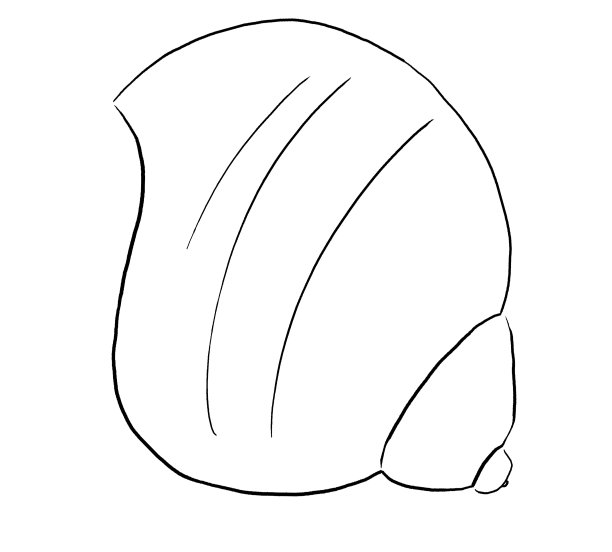 贝壳的黑色轮廓，单一元素的海滩婚礼插画，剪贴画图片下载