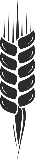 谷物符号，农场，作物符号，小麦穗符号图片下载