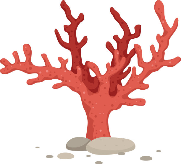 红珊瑚枝图标珊瑚礁野生动物的象征图片下载