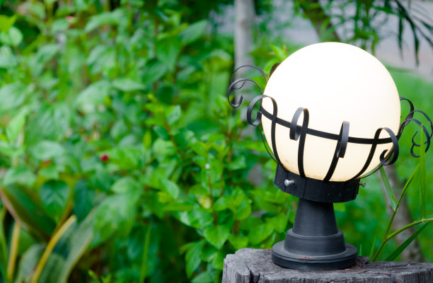 美丽的白色圆灯笼在城市的绿色公园图片下载