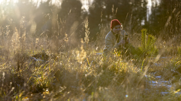 日落时分，戴红帽子的女人在草地上拍小松树。图片下载