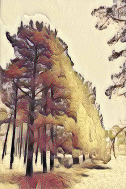 抽象的自然艺术，澳大利亚图片下载