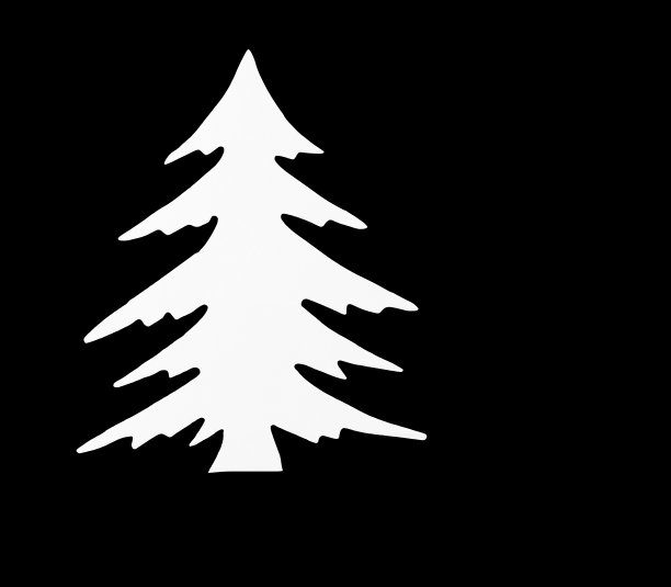 黑色背景上的白色云杉图片下载