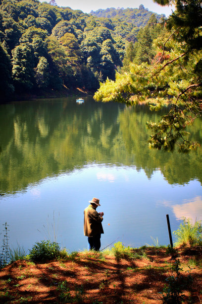 在墨西哥的维拉德尔卡卡州，一名男子在被树木环绕的兰诺水坝前钓鱼图片下载