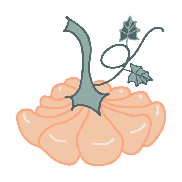 南瓜蔬菜矢量手绘插图时令秋收图片下载