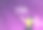 网络星期一销售背景模板手绘图片下载