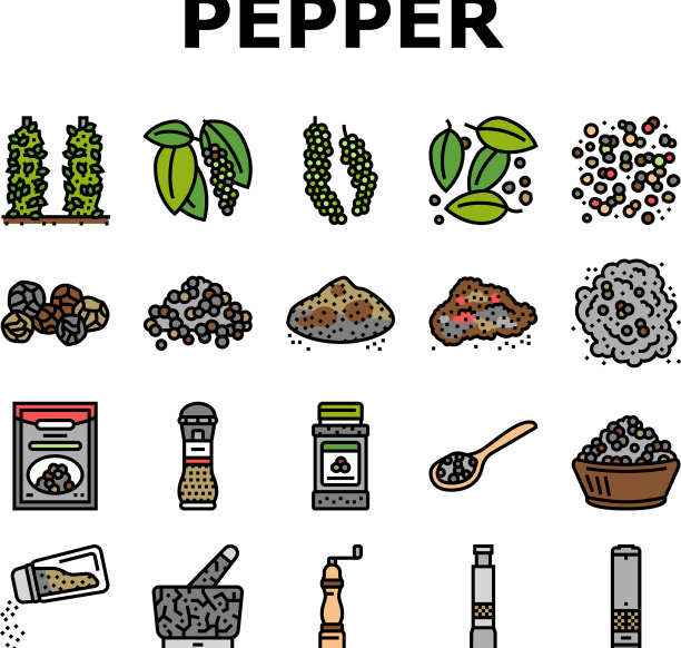 黑胡椒香辣香料图标套装图片下载