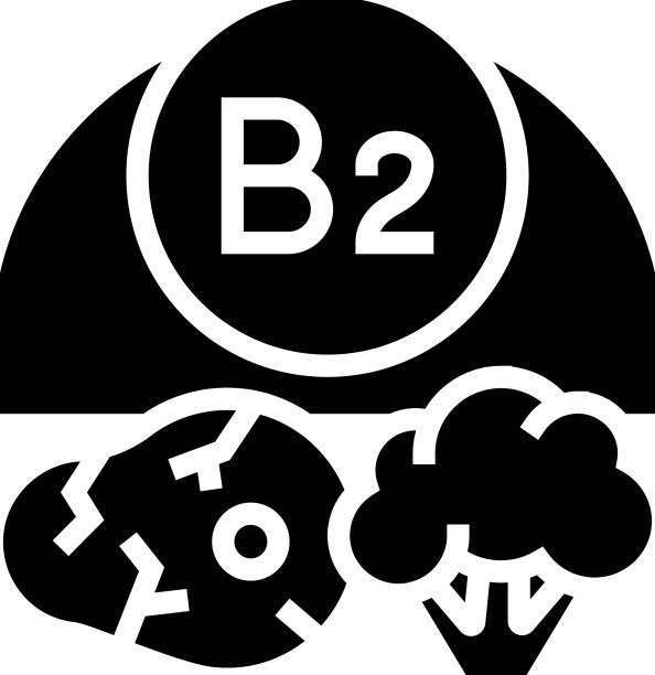 维生素B2标志符号图标图片下载
