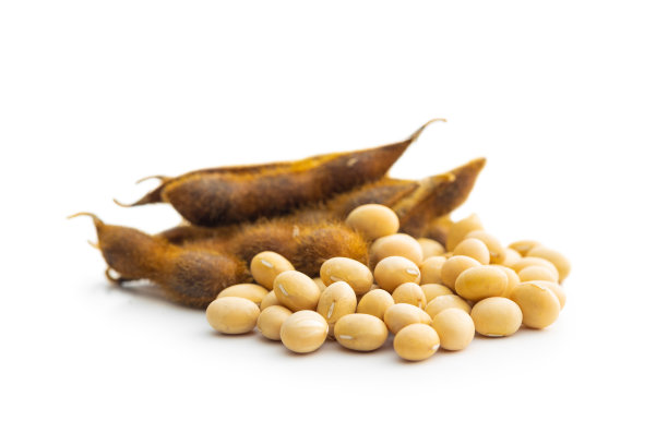 大豆。分离在白色背景上的干燥大豆荚果。图片下载