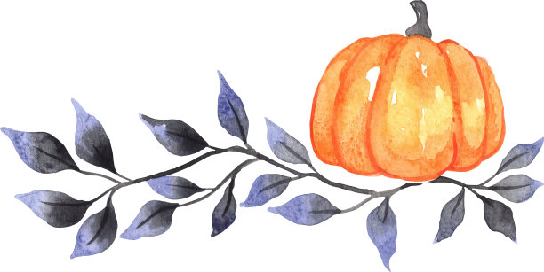 南瓜和黑色叶子镶边水彩图片下载