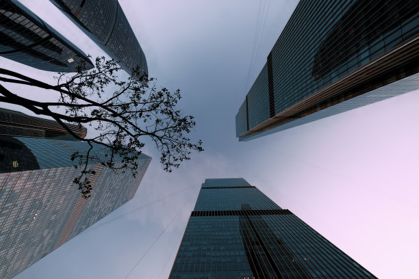 天空低角拍摄的背景是大城市商业区的摩天大楼，背景是枯树、死寂的自然图片下载