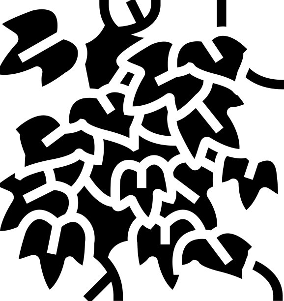 英语常青藤雕文图标图片下载