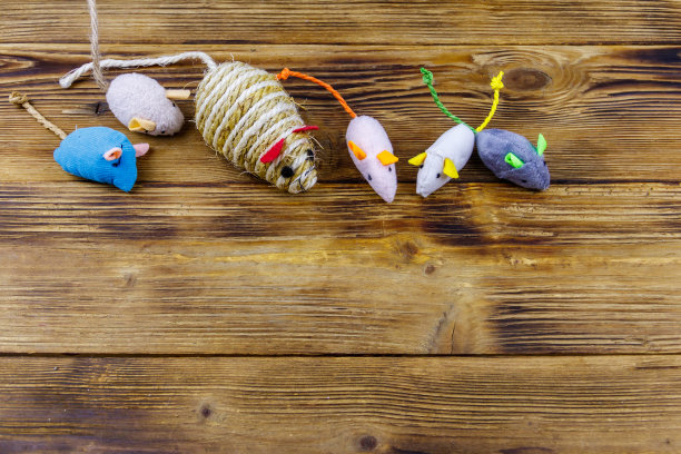 一套老鼠玩具的猫在木制背景。俯视图，复制空间图片下载