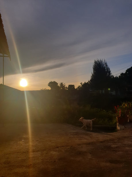 日出从阳台图片下载