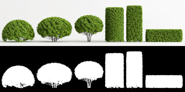 三维插图集榕树金叶分离在白色和它的面具图片下载