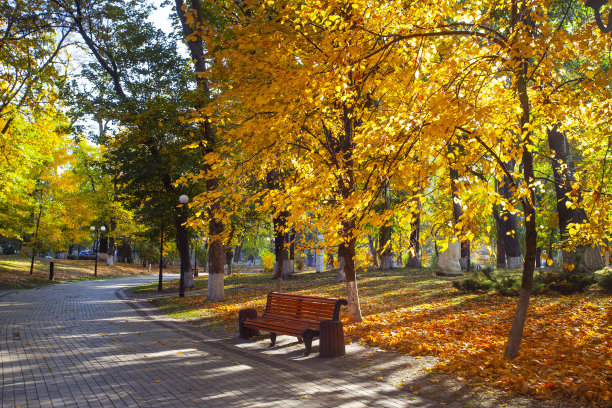 金秋时节，公园里阳光灿烂图片下载
