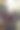 大仙人掌的特写图片下载