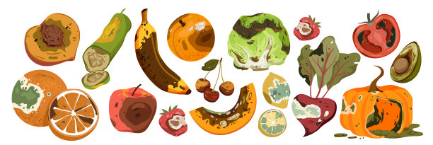 腐烂的水果和蔬菜浪费得很难看图片下载