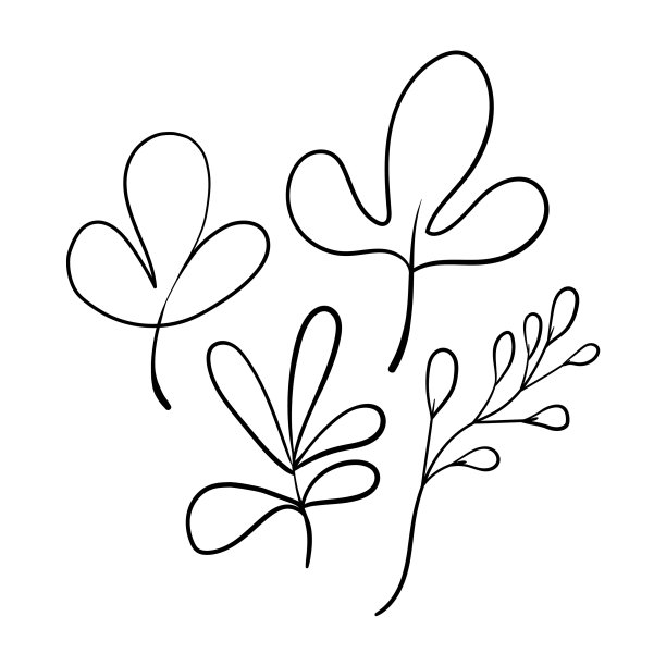 艺术的花卉极简设定孤立的分支图片下载