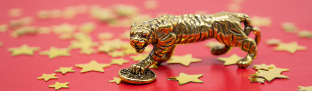 旗帜与铜老虎的形象与一枚硬币-象征着财运和财富的红色背景与星星，复制空间图片下载