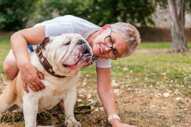 资深妇女坐在地上和拥抱英国斗牛犬户外。女子在公园和狗玩耍图片下载