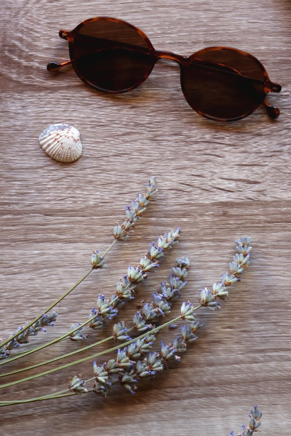 放荡不羁的夏天图片下载