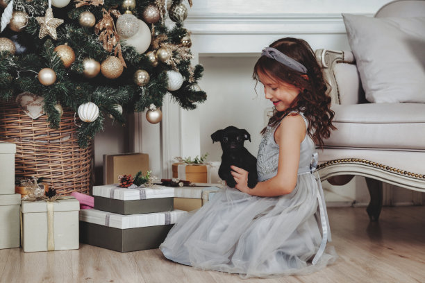 快乐的小女孩与可爱的狮鹫狗在金色美丽的圣诞树背景在节日的客厅在舒适的家。圣诞快乐，新年快乐。本空间图片下载