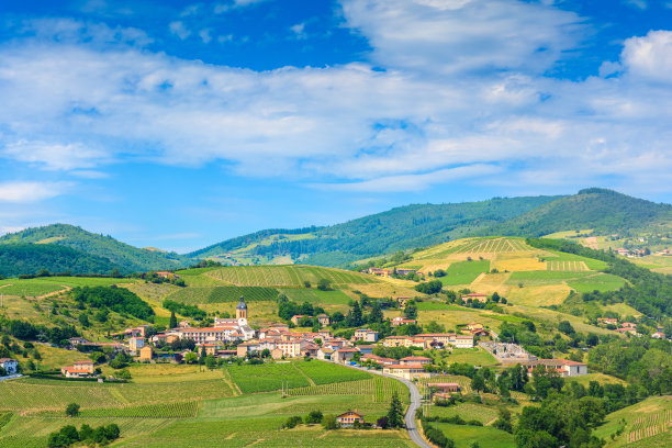 法国的Letra村庄和葡萄园景观图片下载