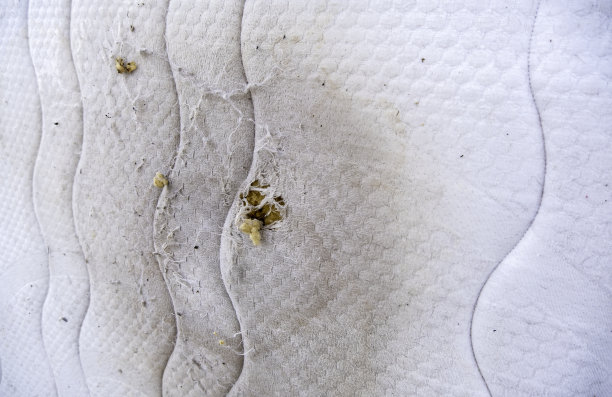 床垫在垃圾桶里图片下载