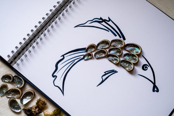 用毛毡笔画出鱼鳞状的贝壳图片下载