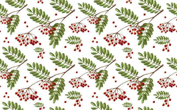 手绘水彩和标记罗文莓树枝，叶子和浆果在白色背景，无缝的模式图片下载