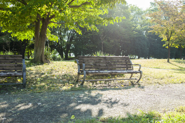 公园的长椅上图片下载
