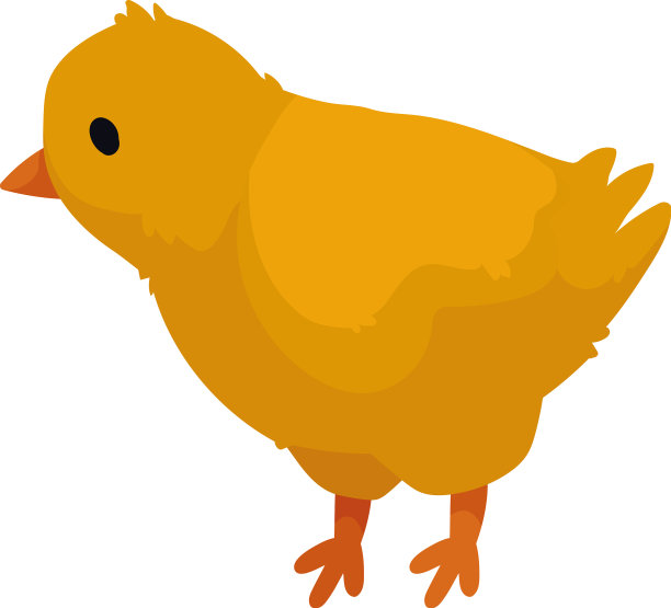 鸡家养家畜图片下载