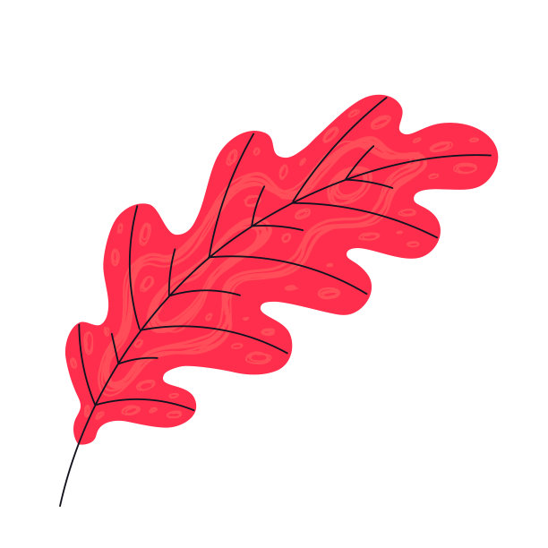 白色背景的秋叶图片下载