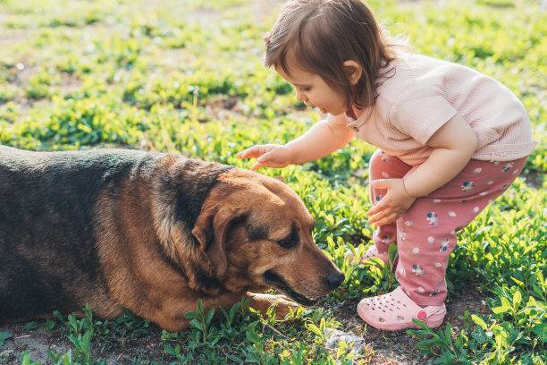 阳光明媚的日子里，小女孩在绿色的草坪上和小狗玩耍。活泼的孩子在户外玩耍。年轻漂亮的女孩。可爱的照片图片下载