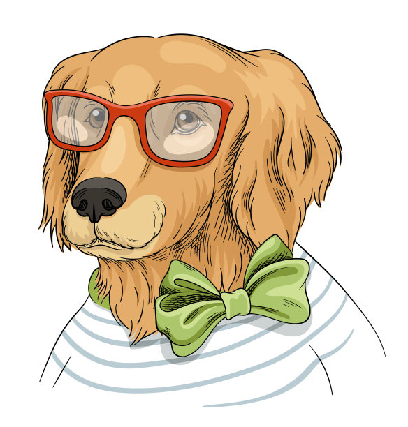 可爱的狗肖像图片下载