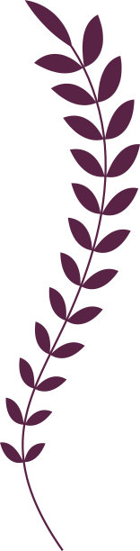 盆栽外来植物的叶子。室内植物装饰家。图片下载