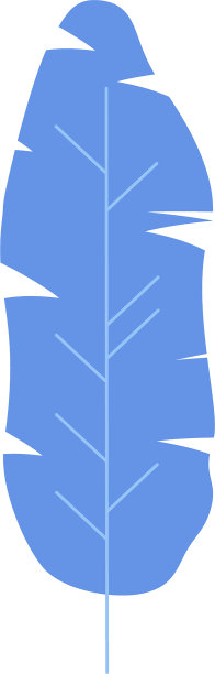 盆栽外来植物的叶子。室内植物装饰家。图片下载