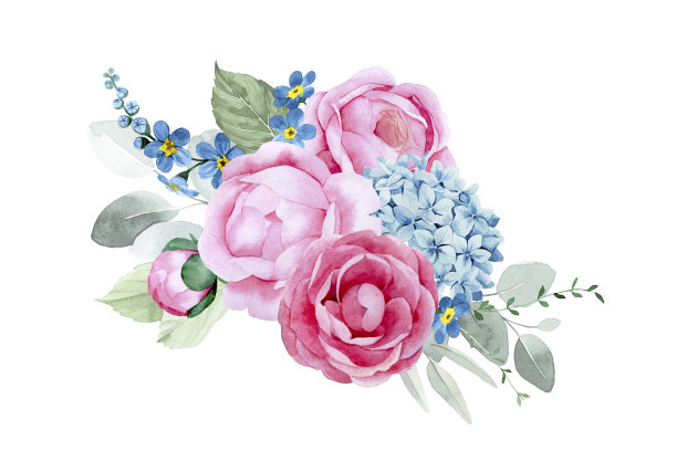 水彩绘画。有桉树花和树叶的香气。粉红色的牡丹花，玫瑰，蓝色的绣球花。精致的印花，复古的装饰图片下载